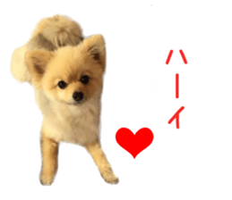 Real DOG Wan de FULL sticker #13798413