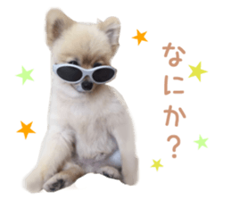 Real DOG Wan de FULL sticker #13798414