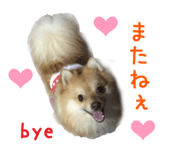 Real DOG Wan de FULL sticker #13798416