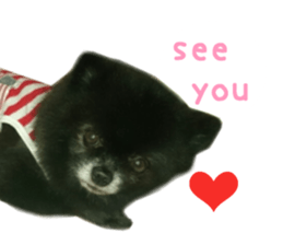 Real DOG Wan de FULL sticker #13798417