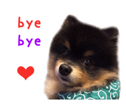 Real DOG Wan de FULL sticker #13798418