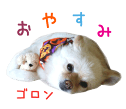 Real DOG Wan de FULL sticker #13798421