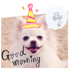 The dog which is full of expressions sticker #13798886