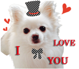 The dog which is full of expressions sticker #13798893