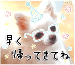 The dog which is full of expressions sticker #13798896