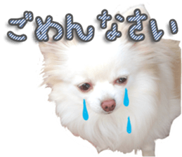 The dog which is full of expressions sticker #13798898