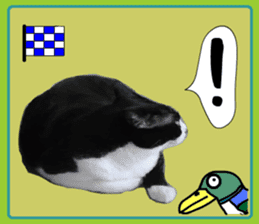 sticker japan cat&gin5(Photo version ) sticker #13800216