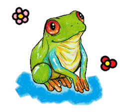 Akame-frogs sticker #13803053