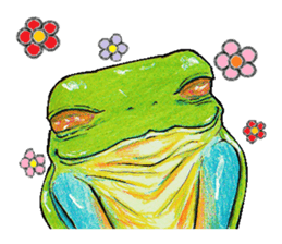 Akame-frogs sticker #13803061