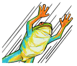 Akame-frogs sticker #13803063