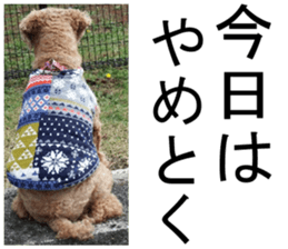 THE White Shepherd Dog! No,2 (P) sticker #13803149