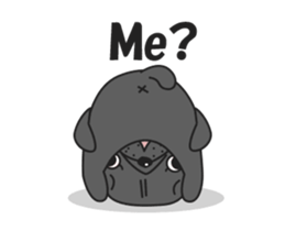 Kuro Pug Animated 2! sticker #13803189