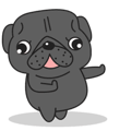 Kuro Pug Animated 2!