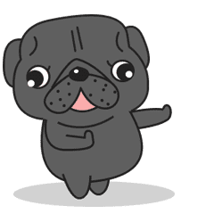 Kuro Pug Animated 2!