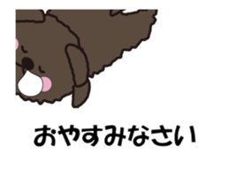 Toy Poodle moving. Black pool of Noah 1 sticker #13803383