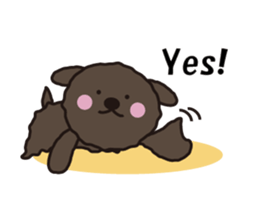 Toy Poodle moving. Black pool of Noah 1 sticker #13803389