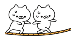 a lot of cute cat animation2 sticker #13804075