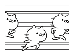 a lot of cute cat animation2 sticker #13804076