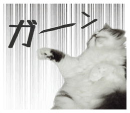 fluffy cat photograph Sticker sticker #13804589