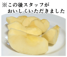 Genuine apple sticker #13804683