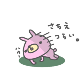 "SACHIE" only name sticker sticker #13804940