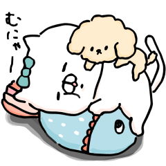 the cat kind(Daily life)