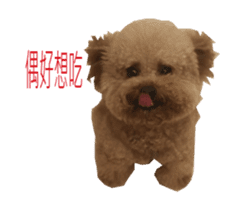Happy Dog Lucky sticker #13808390