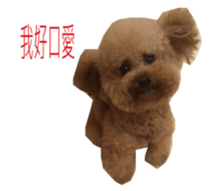 Happy Dog Lucky sticker #13808392