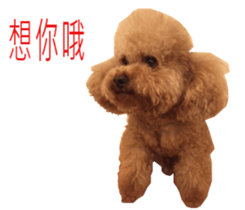 Happy Dog Lucky sticker #13808394