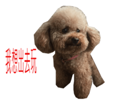 Happy Dog Lucky sticker #13808396