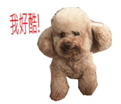 Happy Dog Lucky sticker #13808397