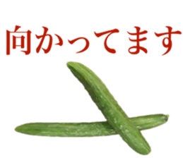 Vegitable saying something sticker #13808881