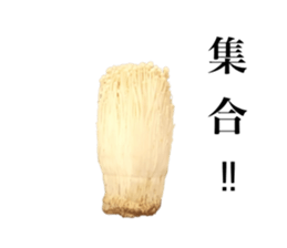 Vegitable saying something sticker #13808882