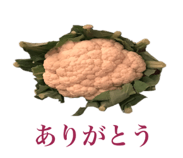 Vegitable saying something sticker #13808887