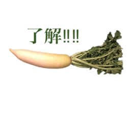 Vegitable saying something sticker #13808892