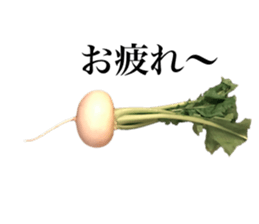 Vegitable saying something sticker #13808893