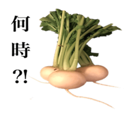 Vegitable saying something sticker #13808894