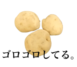 Vegitable saying something sticker #13808895