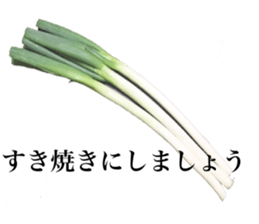 Vegitable saying something sticker #13808897