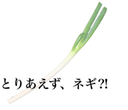 Vegitable saying something sticker #13808901