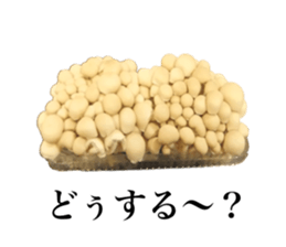 Vegitable saying something sticker #13808905