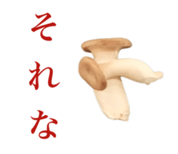 Vegitable saying something sticker #13808906