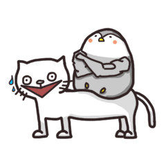 LovelyCat&StrongPenguin