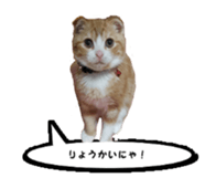 kinaco in my home2 sticker #13809438