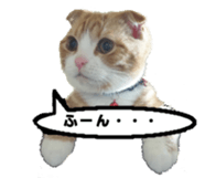 kinaco in my home2 sticker #13809439