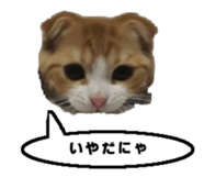 kinaco in my home2 sticker #13809440