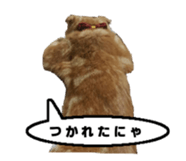 kinaco in my home2 sticker #13809441