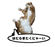 kinaco in my home2 sticker #13809442