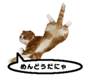 kinaco in my home2 sticker #13809443