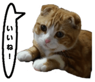 kinaco in my home2 sticker #13809444